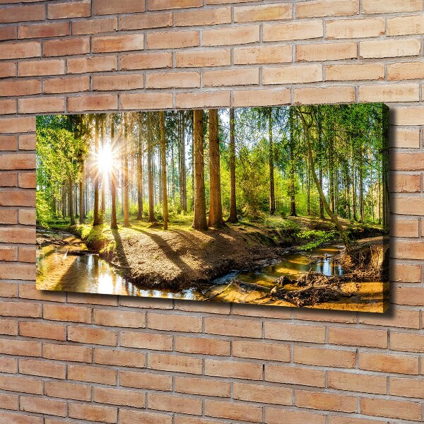 Quadro stampa su tela Panorama della foresta