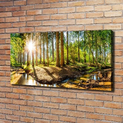 Quadro stampa su tela Panorama della foresta