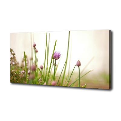 Quadro su tela Erba cipollina