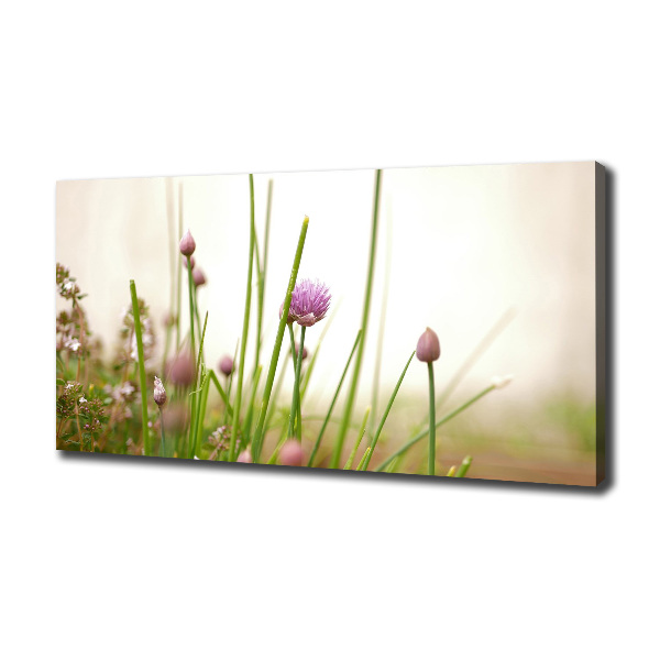 Quadro su tela Erba cipollina