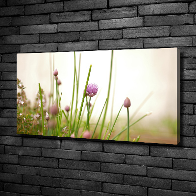 Quadro su tela Erba cipollina