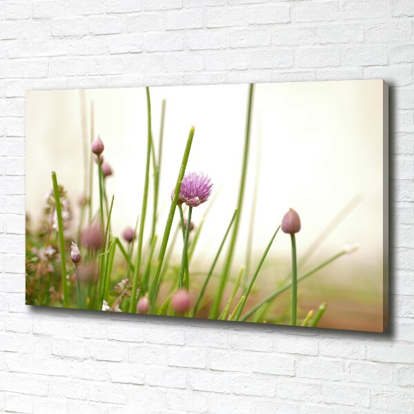 Quadro su tela Erba cipollina