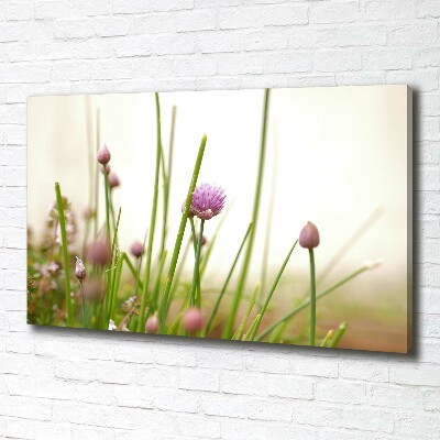 Quadro su tela Erba cipollina
