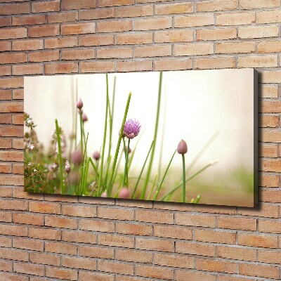 Quadro su tela Erba cipollina