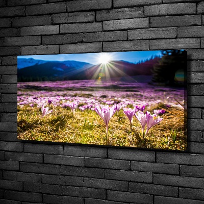 Quadro su tela Crochi nella radura