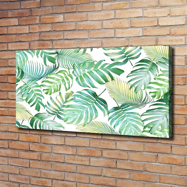 Foto quadro su tela Foglie tropicali
