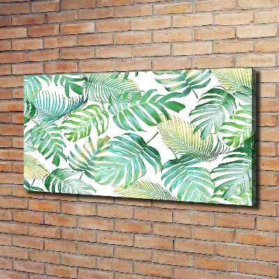 Foto quadro su tela Foglie tropicali