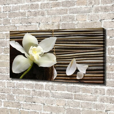 Foto quadro su tela Orchidea