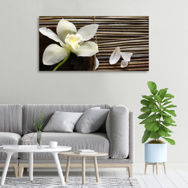 Foto quadro su tela Orchidea