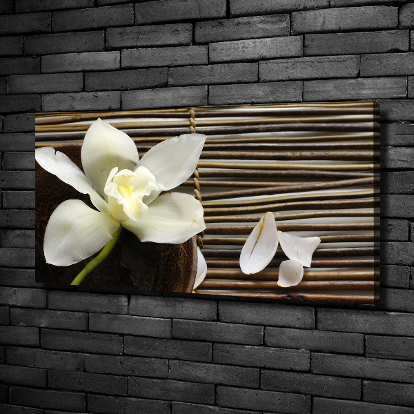 Foto quadro su tela Orchidea