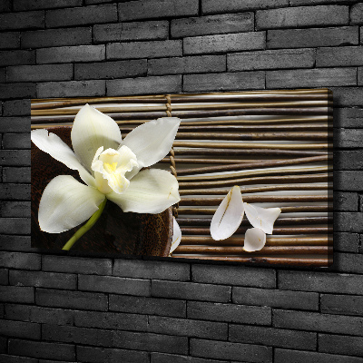 Foto quadro su tela Orchidea
