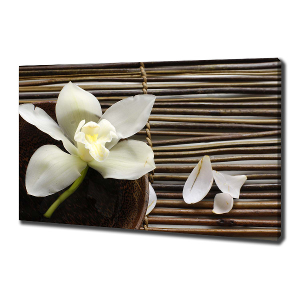 Foto quadro su tela Orchidea