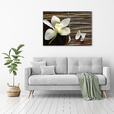Foto quadro su tela Orchidea