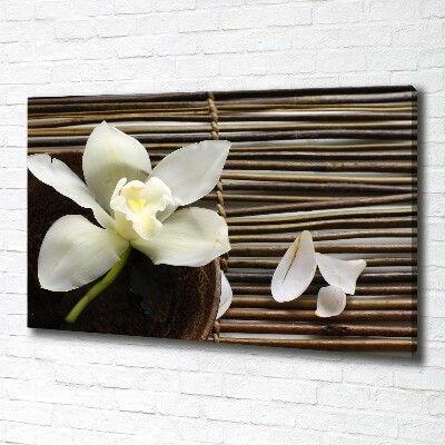 Foto quadro su tela Orchidea