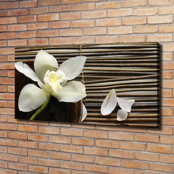 Foto quadro su tela Orchidea