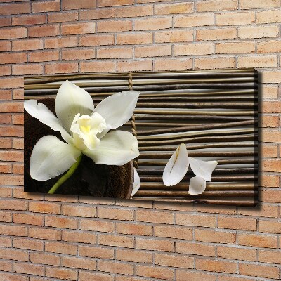 Foto quadro su tela Orchidea