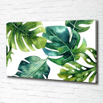 Quadro su tela Foglie tropicali