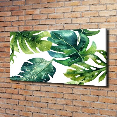 Quadro su tela Foglie tropicali