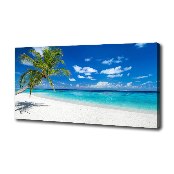Foto quadro su tela Spiaggia tropicale