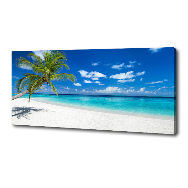 Foto quadro su tela Spiaggia tropicale