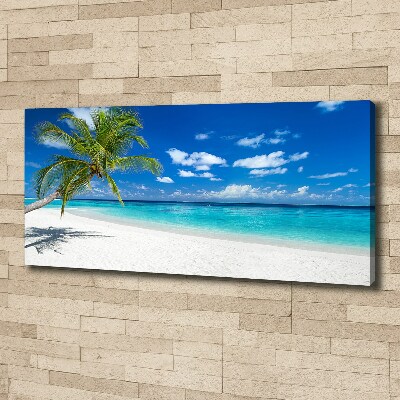 Foto quadro su tela Spiaggia tropicale