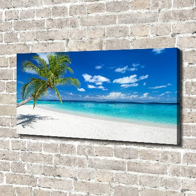 Foto quadro su tela Spiaggia tropicale