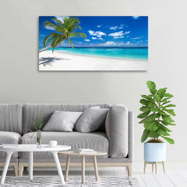 Foto quadro su tela Spiaggia tropicale