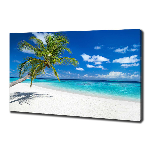Foto quadro su tela Spiaggia tropicale