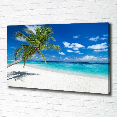Foto quadro su tela Spiaggia tropicale
