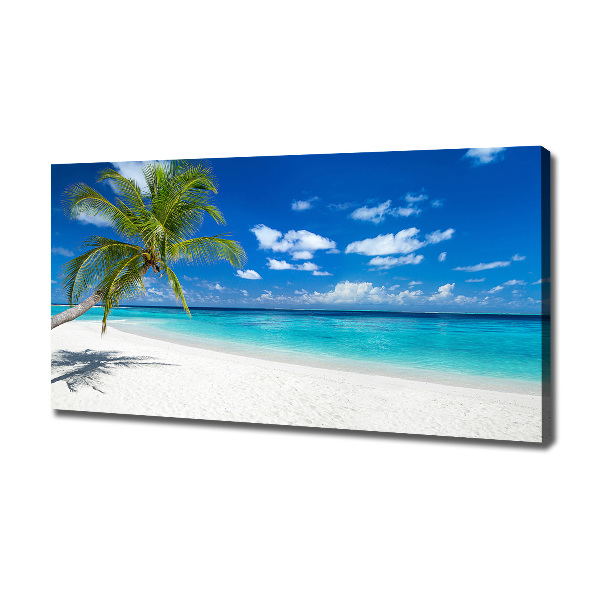 Foto quadro su tela Spiaggia tropicale