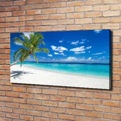 Foto quadro su tela Spiaggia tropicale