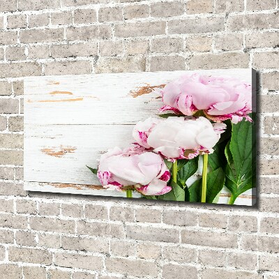 Quadro stampa su tela Peonie