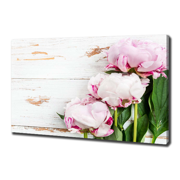Quadro stampa su tela Peonie