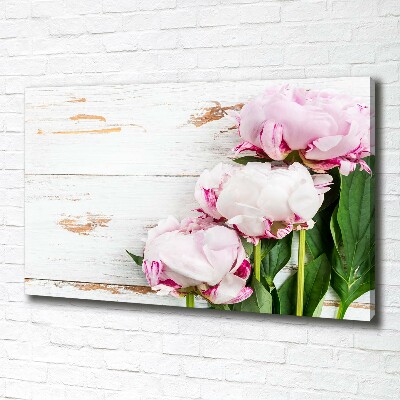 Quadro stampa su tela Peonie
