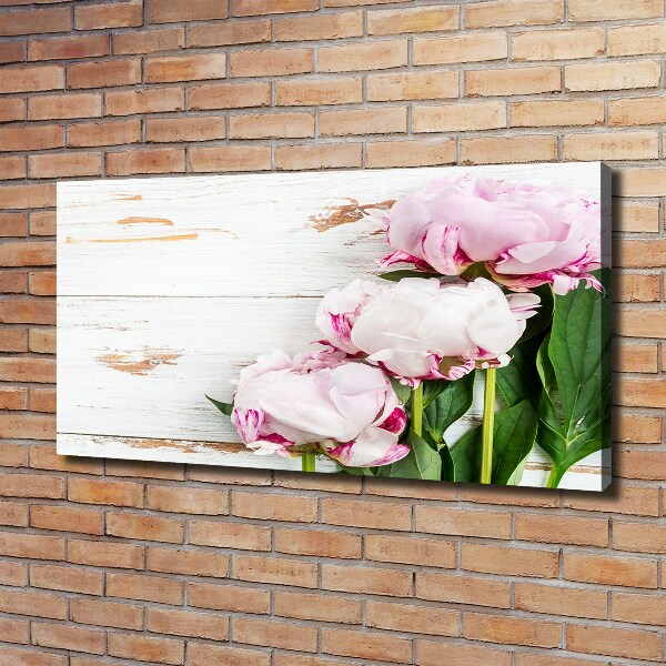 Quadro stampa su tela Peonie