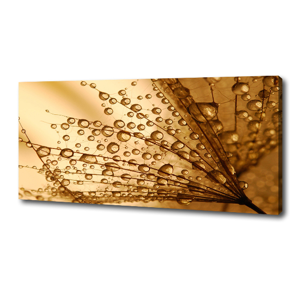 Quadro su tela Semi di tarassaco