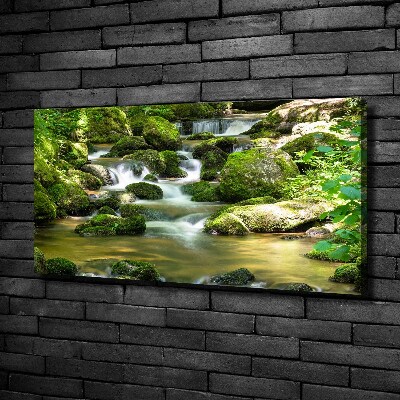 Foto quadro su tela Cascata