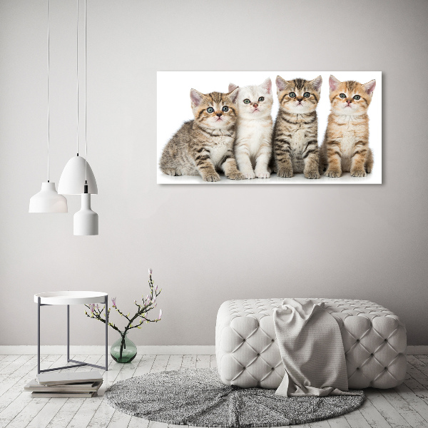 Quadro su tela Gattini