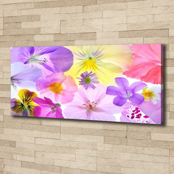 Quadro stampa su tela Viole del pensiero
