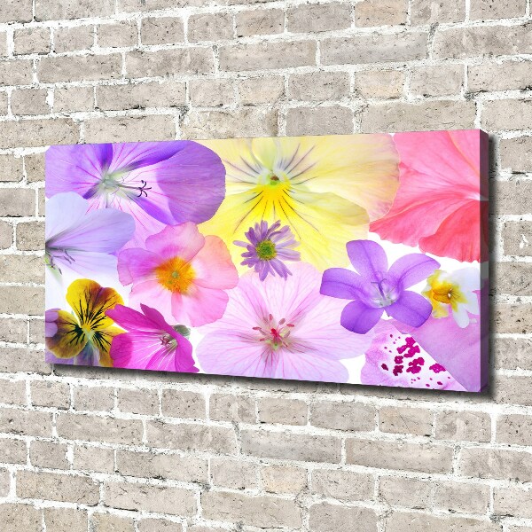 Quadro stampa su tela Viole del pensiero