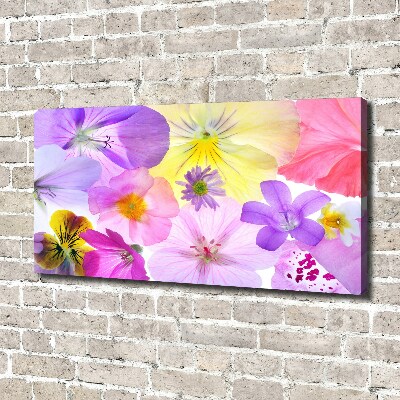 Quadro stampa su tela Viole del pensiero