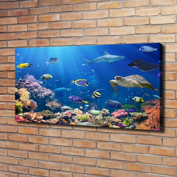 Foto quadro su tela Barriera corallina