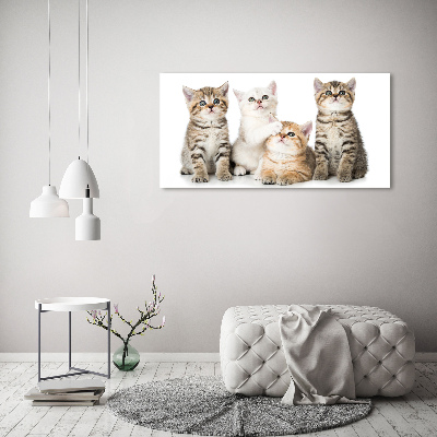 Quadro stampa su tela Gattini