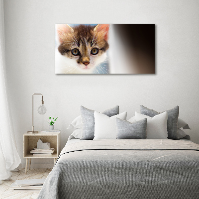 Quadro su tela Gattino