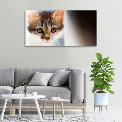 Quadro su tela Gattino