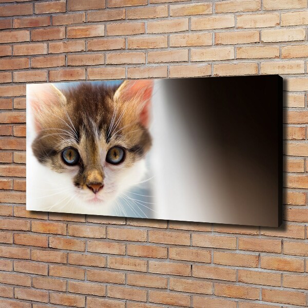 Quadro su tela Gattino
