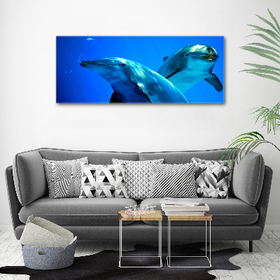 Foto quadro su tela Due delfini