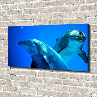 Foto quadro su tela Due delfini