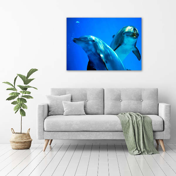 Foto quadro su tela Due delfini