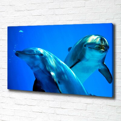 Foto quadro su tela Due delfini